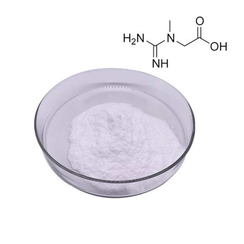 Chất lượng cao Creatine Monohydrate CAS 6020-87-7