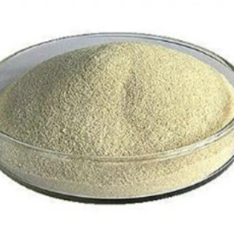 Nhà máy cung cấp số lượng lớn Natri Alginate CAS：9005-38-3